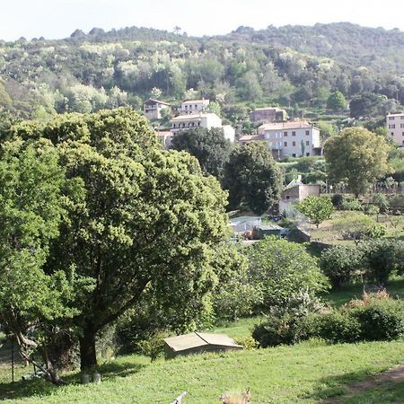 A Cardiccia Loc Saisonnieres Piana Apartment Piana  Exterior photo